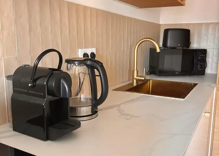 Atelier De Lumiere Gambetta Apartman Nizza